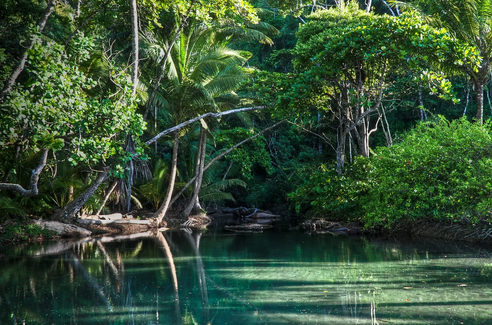 Corcovado National Park