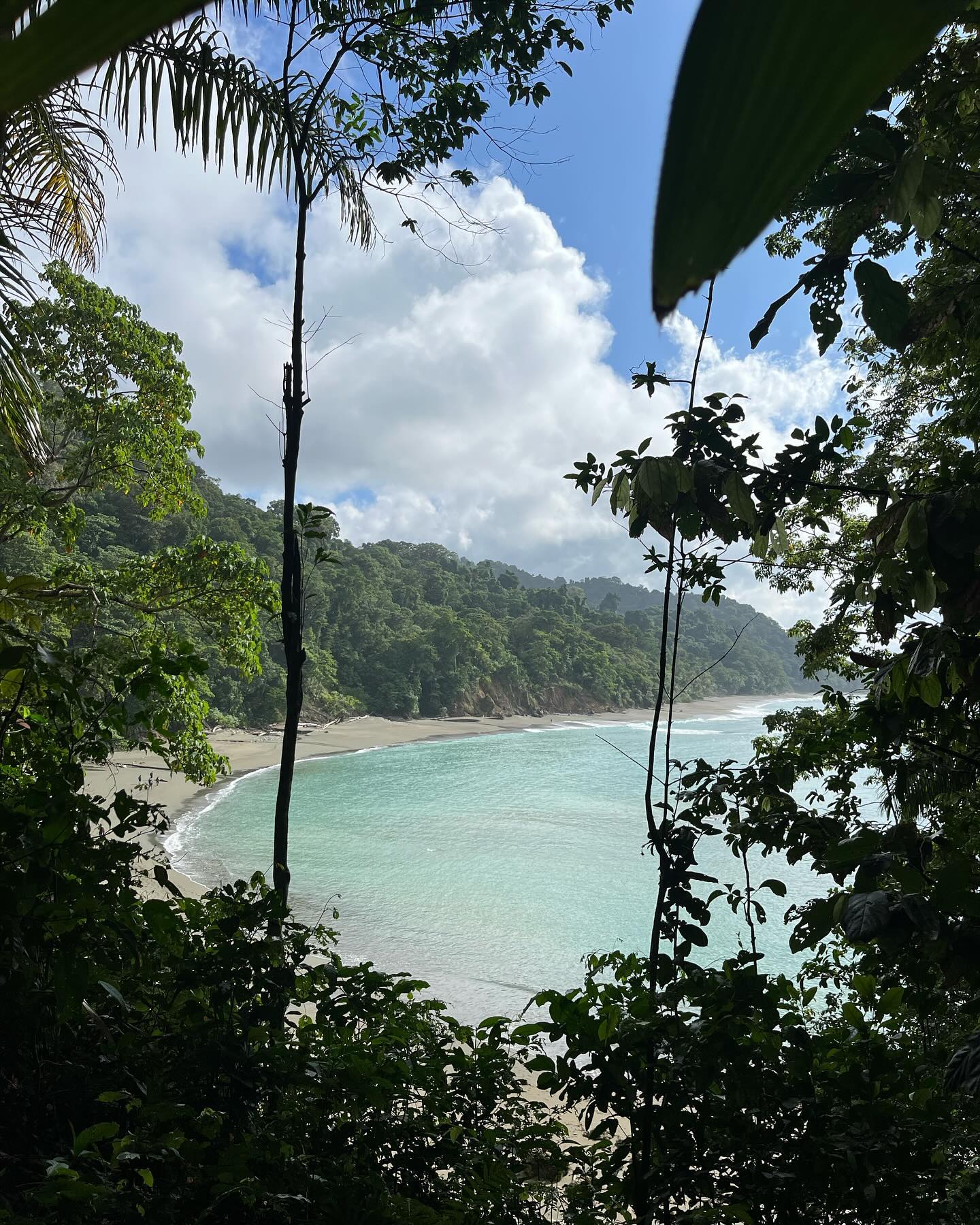 Corcovado National Park view
