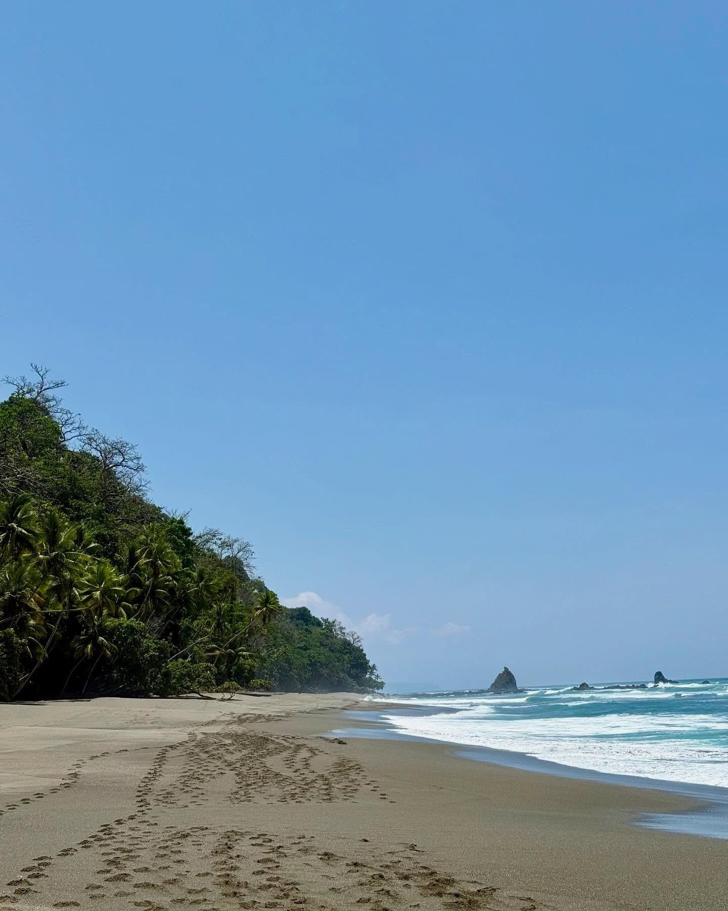 Corcovado National Park view