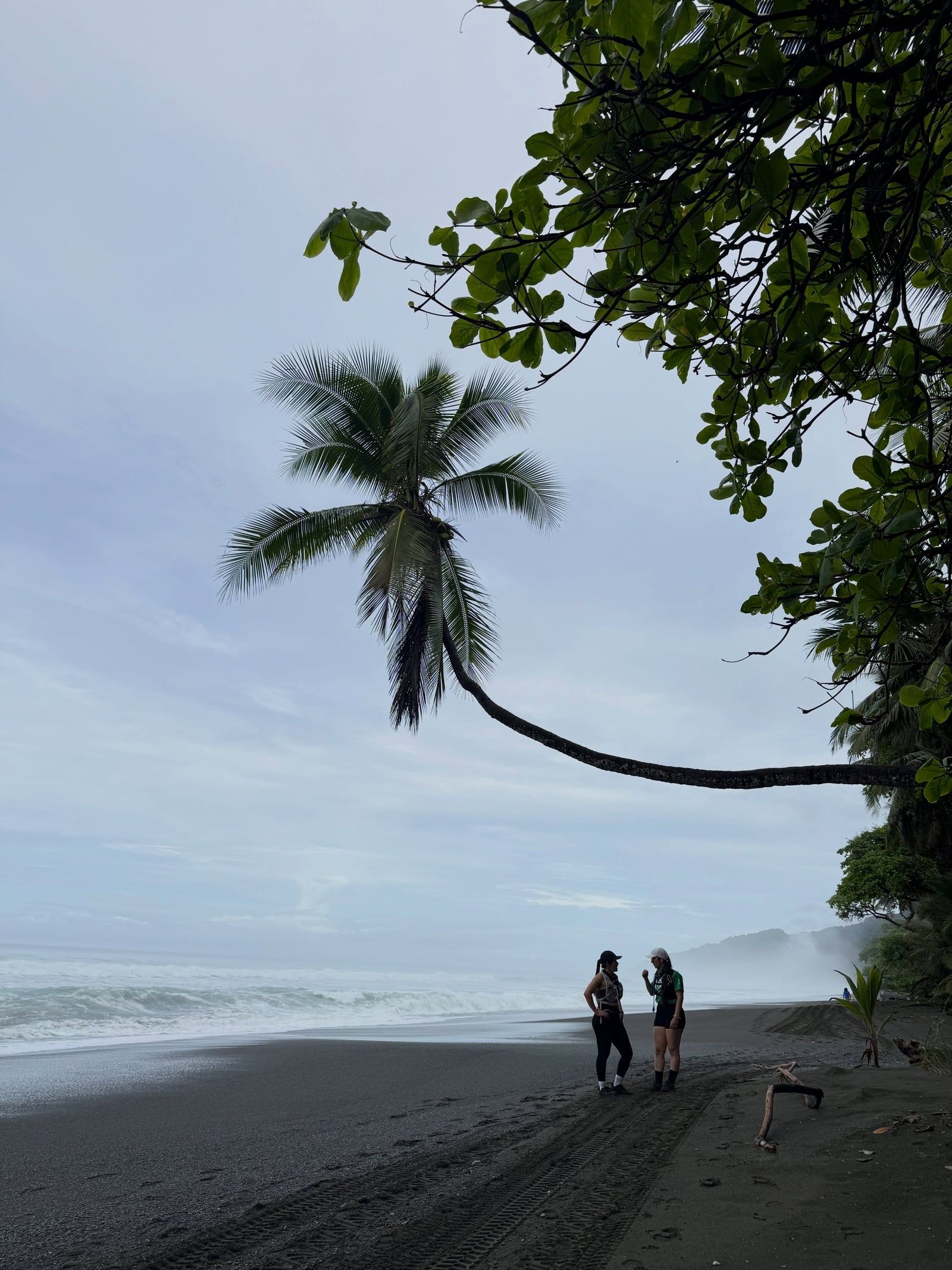 Corcovado National Park tour visitor photo