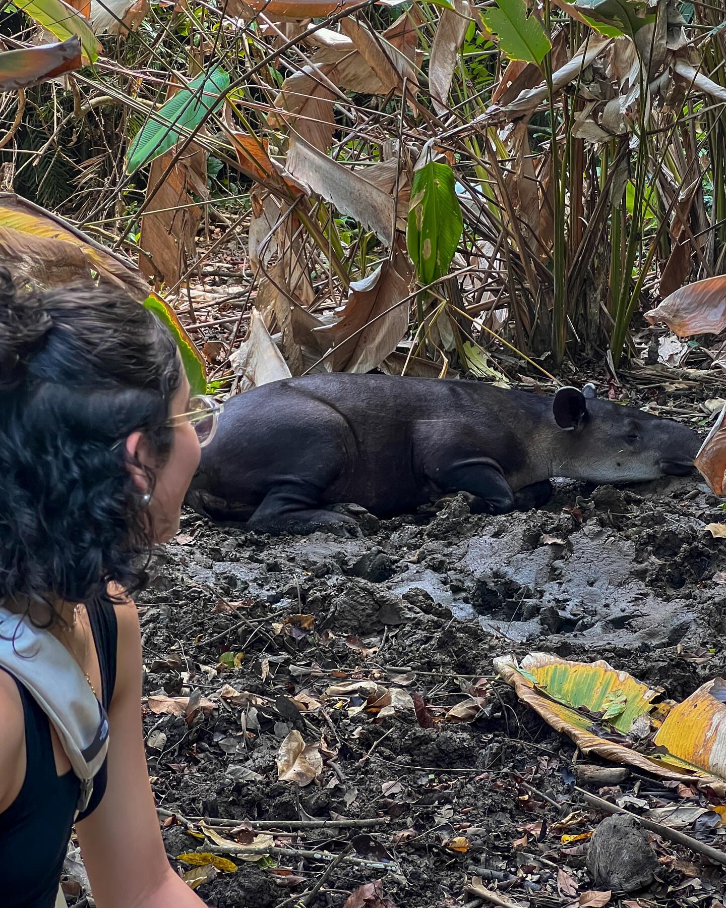 Corcovado National Park tour visitor photo