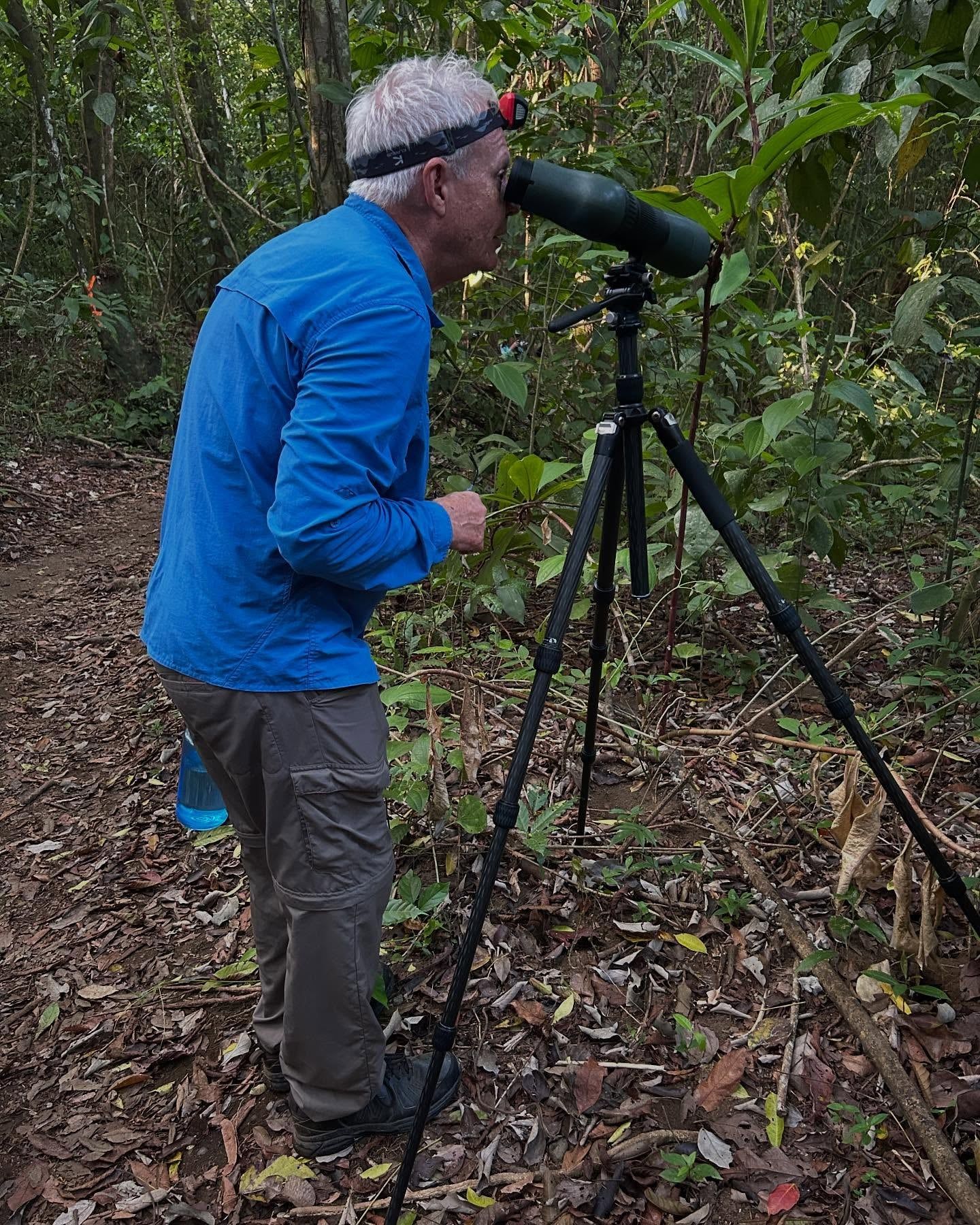 Corcovado National Park tour visitor photo